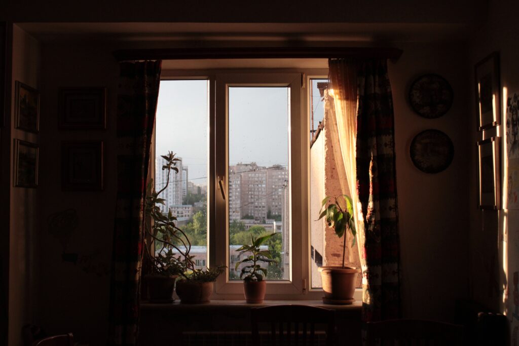 Warm light fills an indoor space with potted plants and cityscape view.